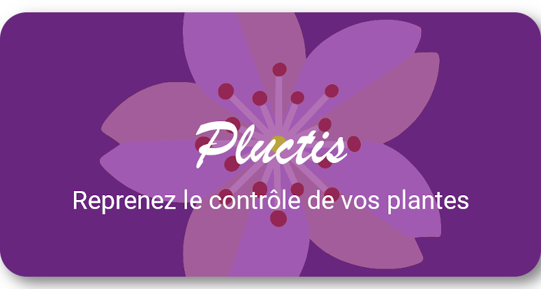 Pluctis banner
